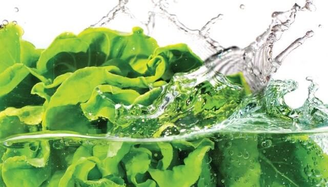 מפעלי ירק מצונן